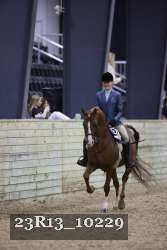 23R13_10229 thumbnail