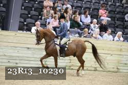 23R13_10230 thumbnail
