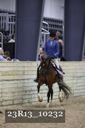 23R13_10232 thumbnail