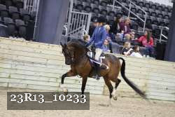 23R13_10233 thumbnail