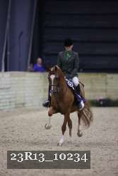 23R13_10234 thumbnail
