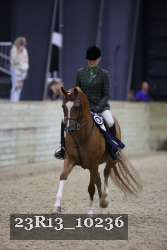 23R13_10236 thumbnail