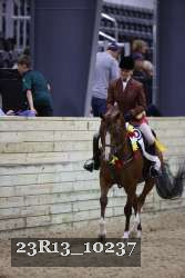 23R13_10237 thumbnail