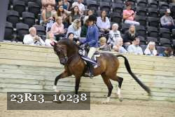 23R13_10238 thumbnail