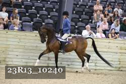 23R13_10240 thumbnail