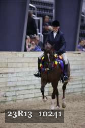 23R13_10241 thumbnail