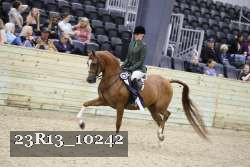 23R13_10242 thumbnail
