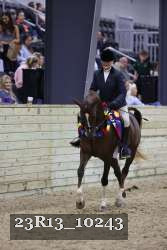 23R13_10243 thumbnail