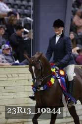 23R13_10244 thumbnail