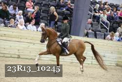 23R13_10245 thumbnail