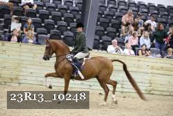 23R13_10248 thumbnail