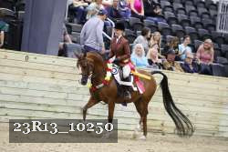 23R13_10250 thumbnail