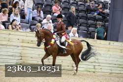 23R13_10251 thumbnail