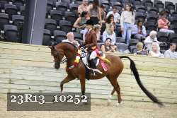 23R13_10252 thumbnail