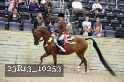 23R13_10253 thumbnail