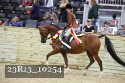 23R13_10254 thumbnail