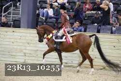 23R13_10255 thumbnail