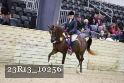 23R13_10256 thumbnail