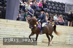 23R13_10257 thumbnail