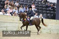 23R13_10258 thumbnail