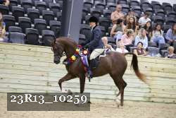 23R13_10259 thumbnail
