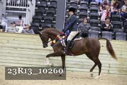 23R13_10260 thumbnail