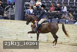 23R13_10261 thumbnail