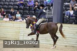 23R13_10262 thumbnail