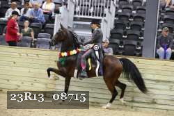 23R13_08715 thumbnail