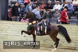 23R13_08716 thumbnail