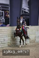 23R13_08717 thumbnail