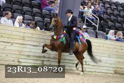 23R13_08720 thumbnail