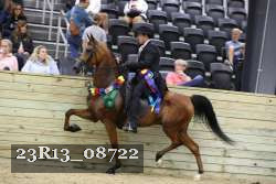 23R13_08722 thumbnail