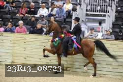 23R13_08723 thumbnail