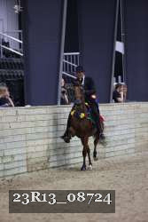 23R13_08724 thumbnail