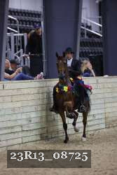 23R13_08725 thumbnail