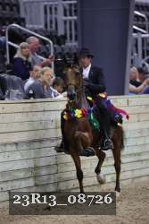 23R13_08726 thumbnail