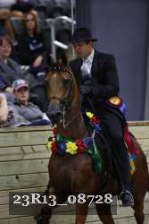 23R13_08728 thumbnail