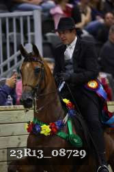 23R13_08729 thumbnail