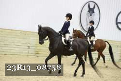 23R13_08758 thumbnail