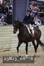 23R13_08778 thumbnail