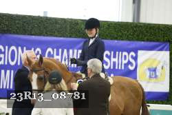 23R13_08781 thumbnail