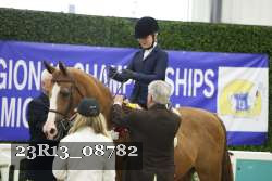 23R13_08782 thumbnail
