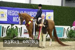 23R13_08783 thumbnail
