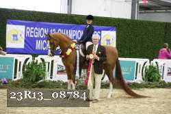 23R13_08784 thumbnail
