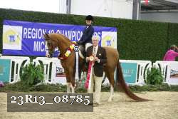 23R13_08785 thumbnail