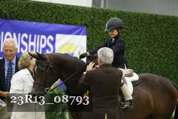 23R13_08793 thumbnail