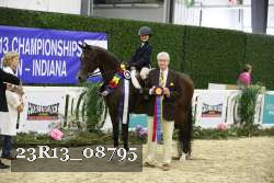 23R13_08795 thumbnail