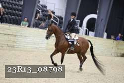 23R13_08798 thumbnail