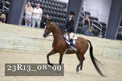 23R13_08799 thumbnail